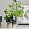 Home Decor Nordal | Handmade Reso Tall Plant Pot M